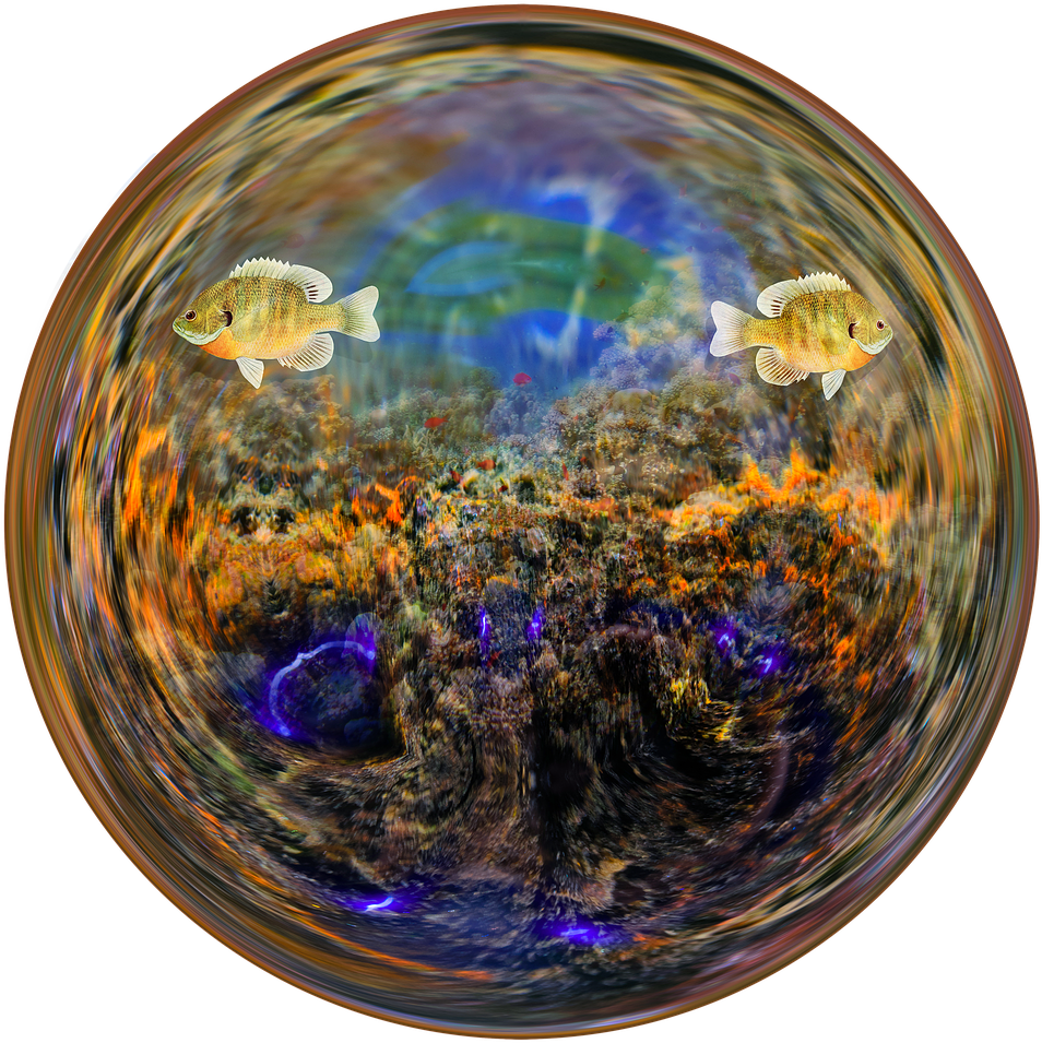 Fish Aquarium Water Glass Ball Png Image - Circle Clipart (1280x1127), Png Download