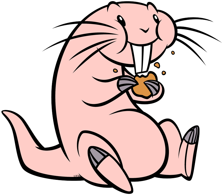 Rufus Eating A Cookie - Rufus Kim Possible Animal Clipart (777x681), Png Download