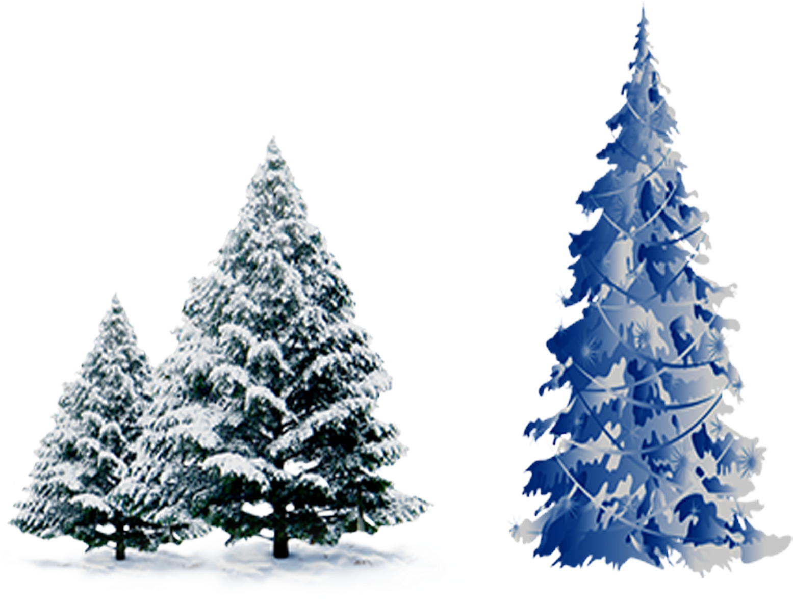 Snow Pine Png - Christmas Tree Blue Png Clipart (1657x1276), Png Download