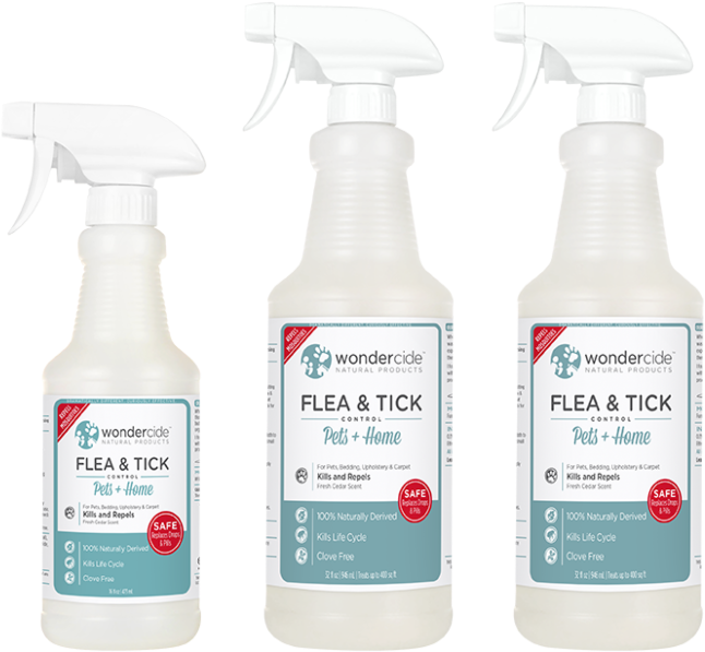 Plastic Bottle Clipart (700x700), Png Download