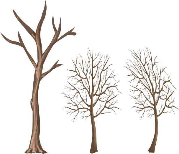 Winter Tree Trunk Png Clipart (640x640), Png Download