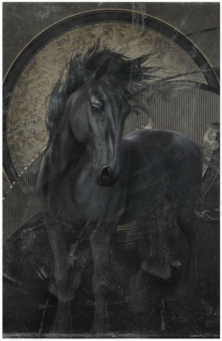 Stallion Clipart (800x800), Png Download