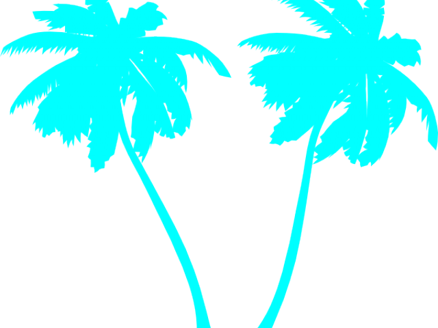 Palm Tree Vector Png Clipart (640x480), Png Download