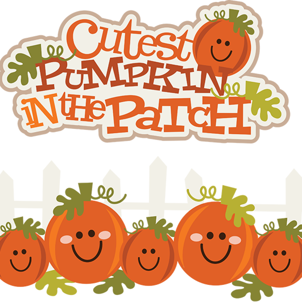 Pumpkin Patch Png - Clip Art Cute Pumpkins Transparent Png (1024x1024), Png Download