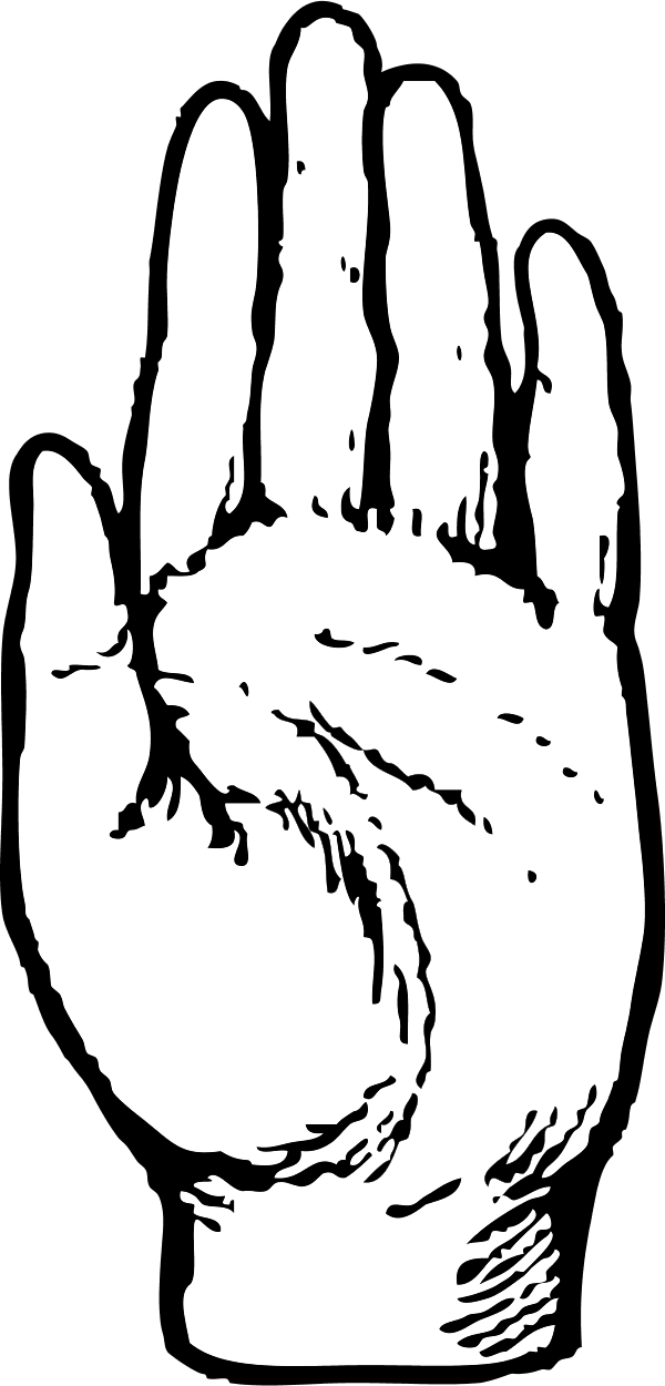 481 X 1000 10 - Left Hand Clip Art - Png Download (481x1000), Png Download