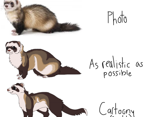 Drawn Ferret Realistic - Black Footed Ferret Meme Clipart (640x480), Png Download