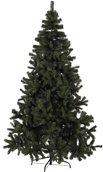 Christmas Trees Clipart (600x600), Png Download