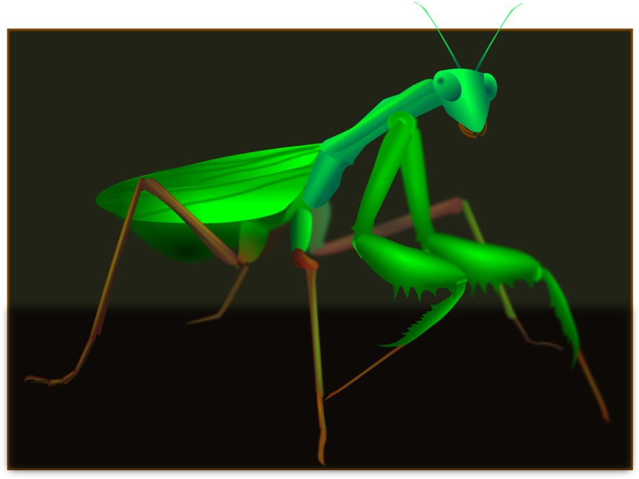 Mantis Grasshopper Insect Pest Cricket Wireless - Mantidae Clipart (1023x750), Png Download