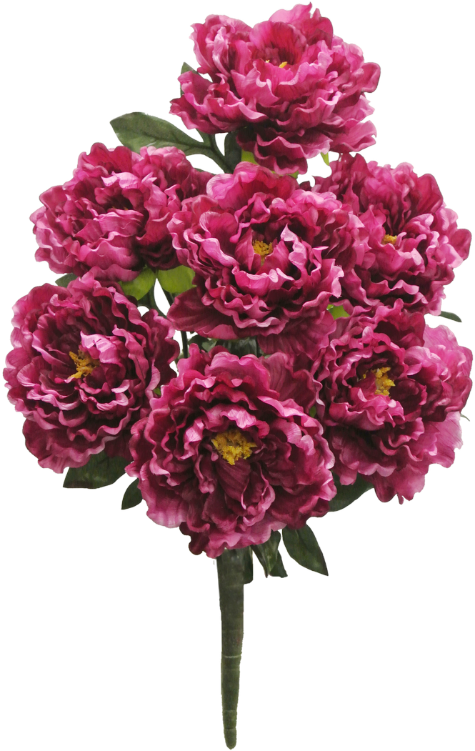 Beauty Peony Bush X7 Sale Item - Love Flower Clipart (700x1053), Png Download