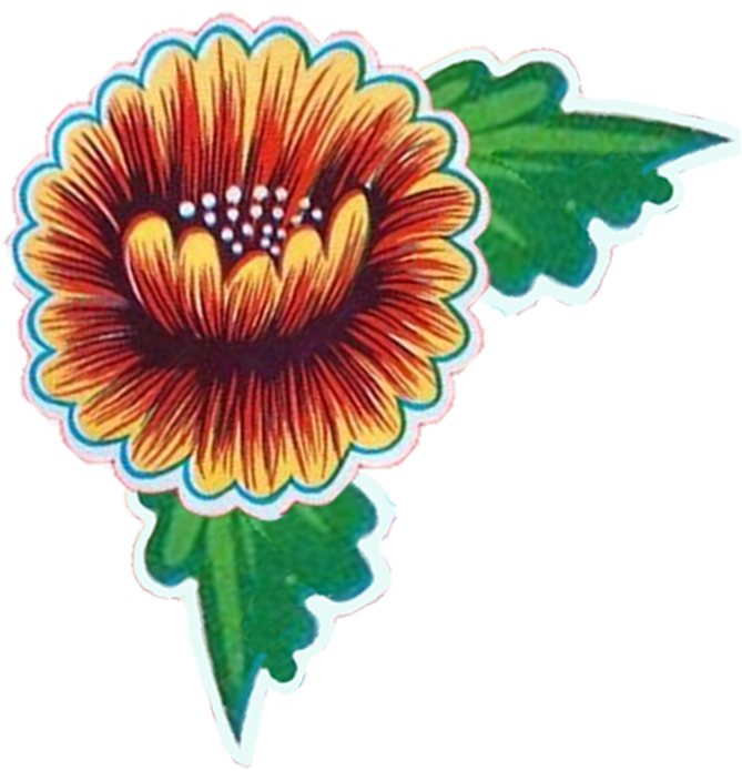 Watch Victoria De Almeida Paint The Commission Titled, - Hispanic Artists Flower Paintings Clipart (800x754), Png Download