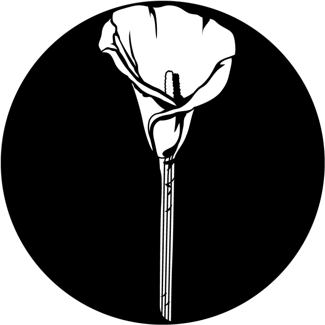 Lonely Calla Lily , Png Download - Illustration Clipart (669x669), Png Download