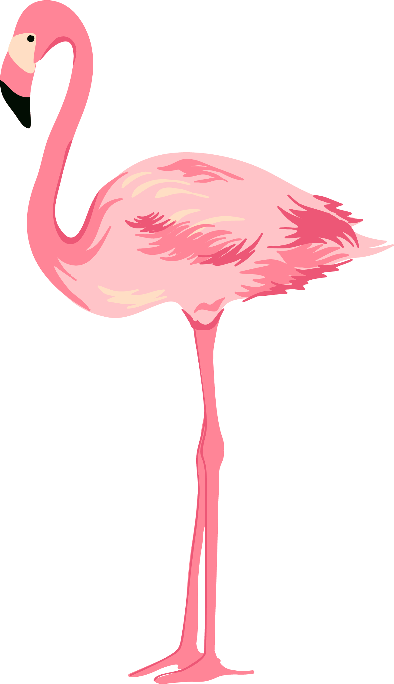Flamingo Pink Swans Clipart (1301x2255), Png Download