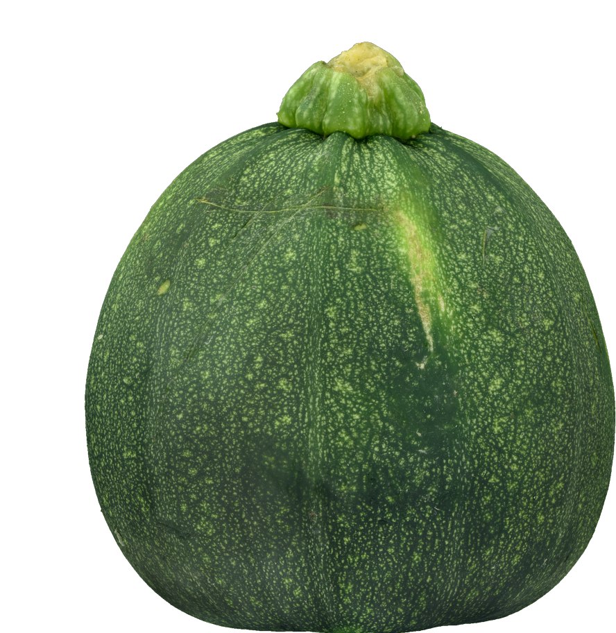 Zucchini Png Transparent Background - Gem Squash Transparent Background Clipart (1000x1000), Png Download