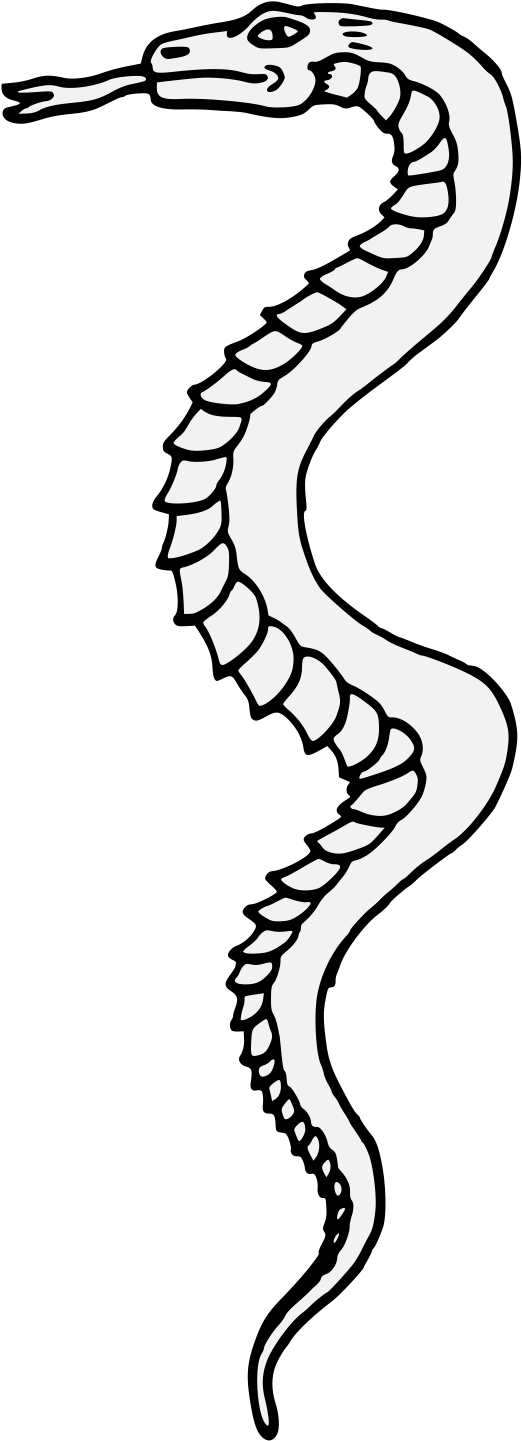 Details, Png - Line Art Clipart (543x1462), Png Download