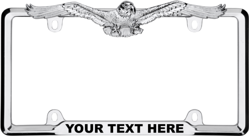 Chrome License Frame Png - License Plate Frames Eagle Clipart (800x800), Png Download