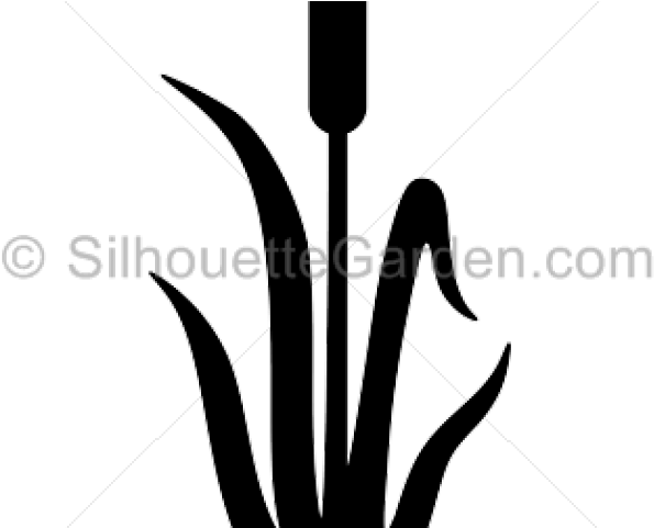 Silhouettes Clipart Cat Tail - Fsc - Png Download (640x480), Png Download