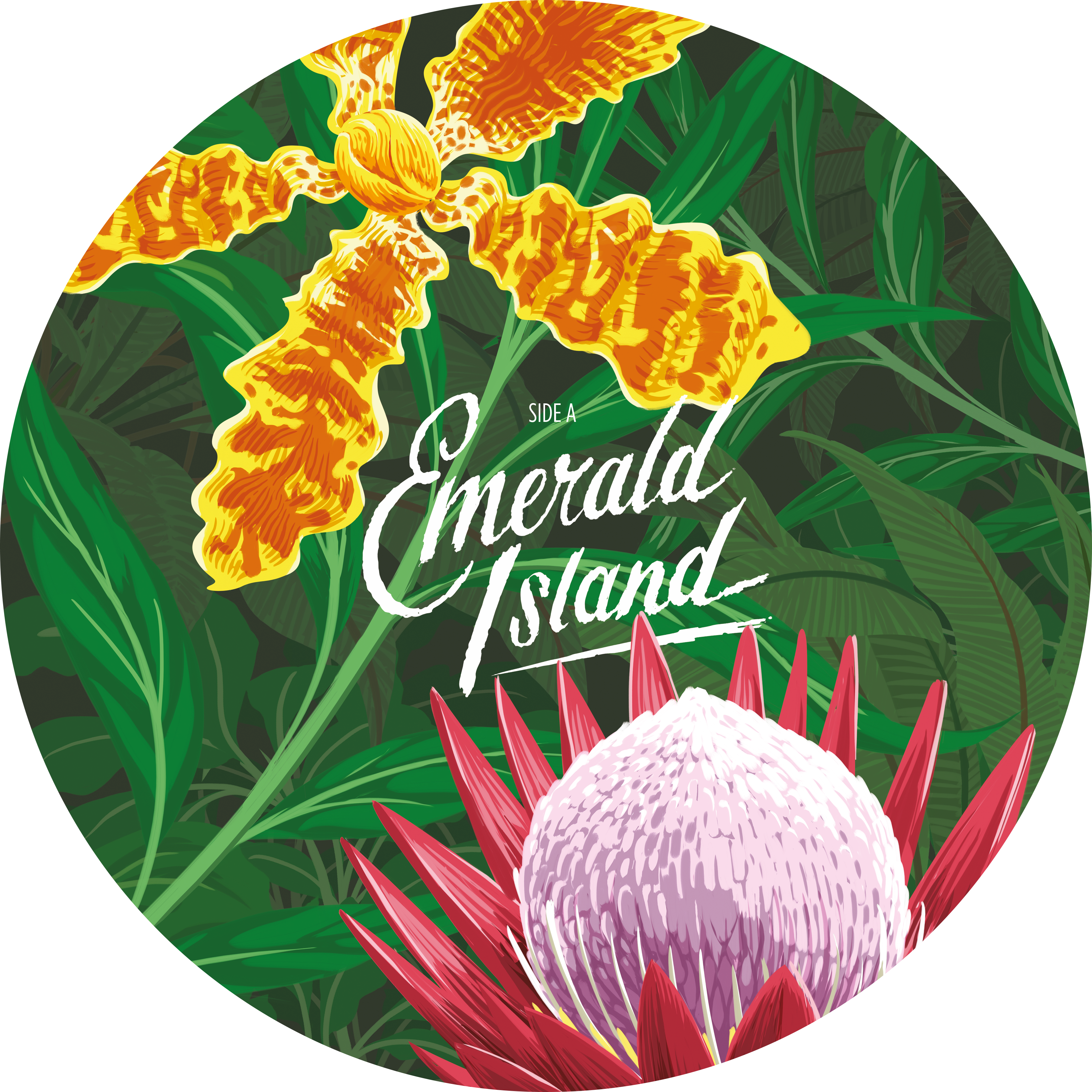 Emerald Island Ep Limited Edition - Caro Emerald Emerald Island Clipart (3484x3484), Png Download
