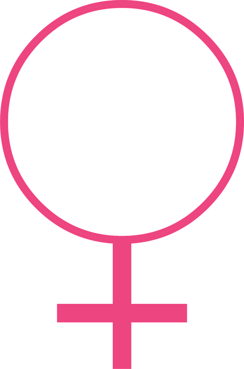 Symbol Woman Female Feminist Png Image - Cross Clipart (846x1280), Png Download