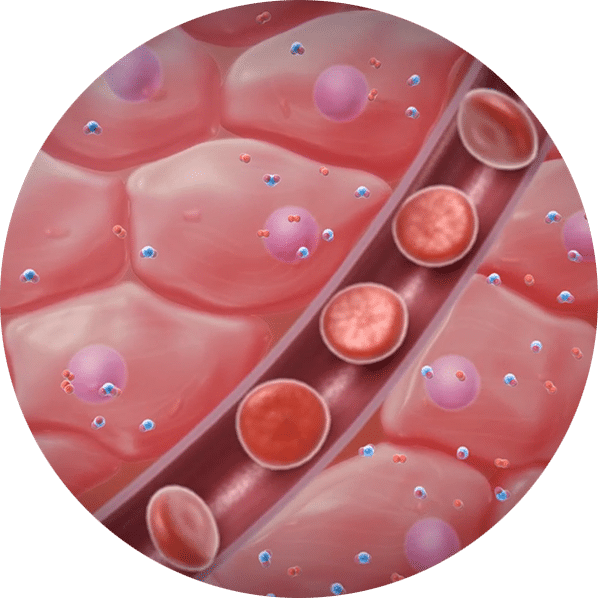 How Does Shockwave Therapy Work - Circle Clipart (598x598), Png Download