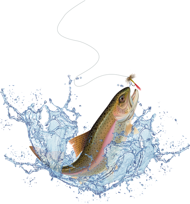 Salmon For Free Download On Mbtskoudsalg - Jumping Trout Clipart (617x698), Png Download
