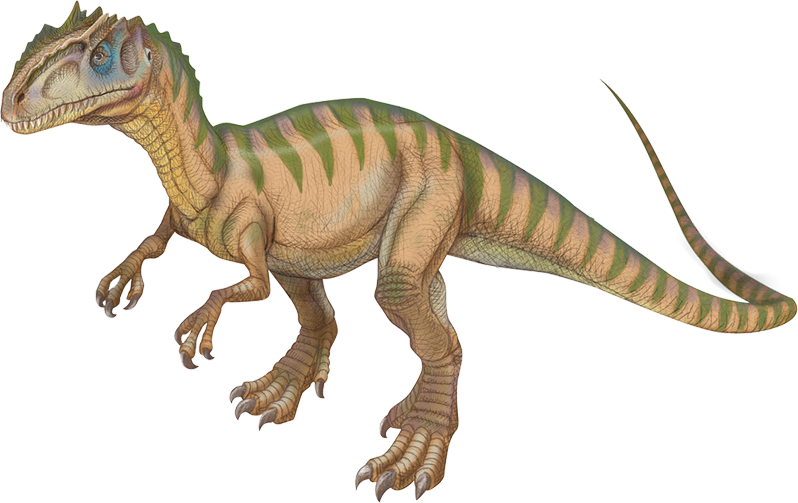 Allosaurus - Tyrannosaurus Clipart (798x503), Png Download