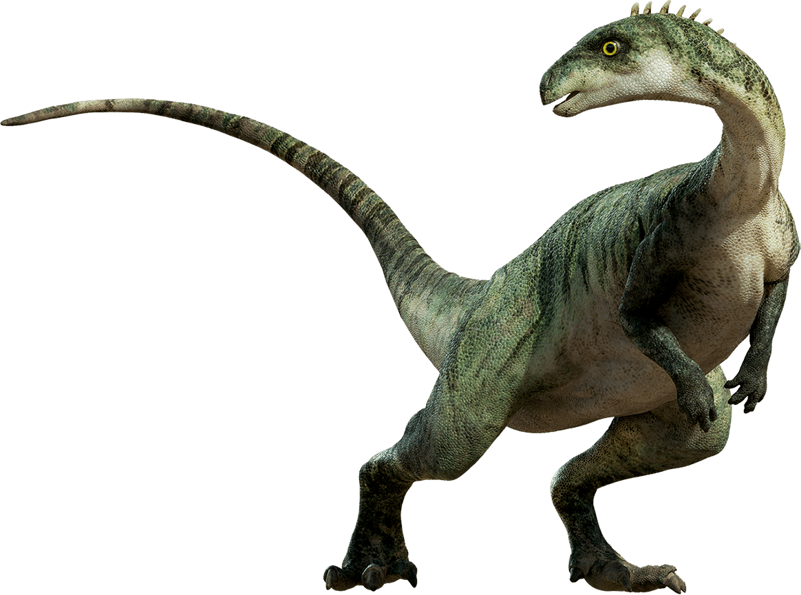 Dinosaur Free Png Image - Dinosaur Transparent Clipart (1164x864), Png Download