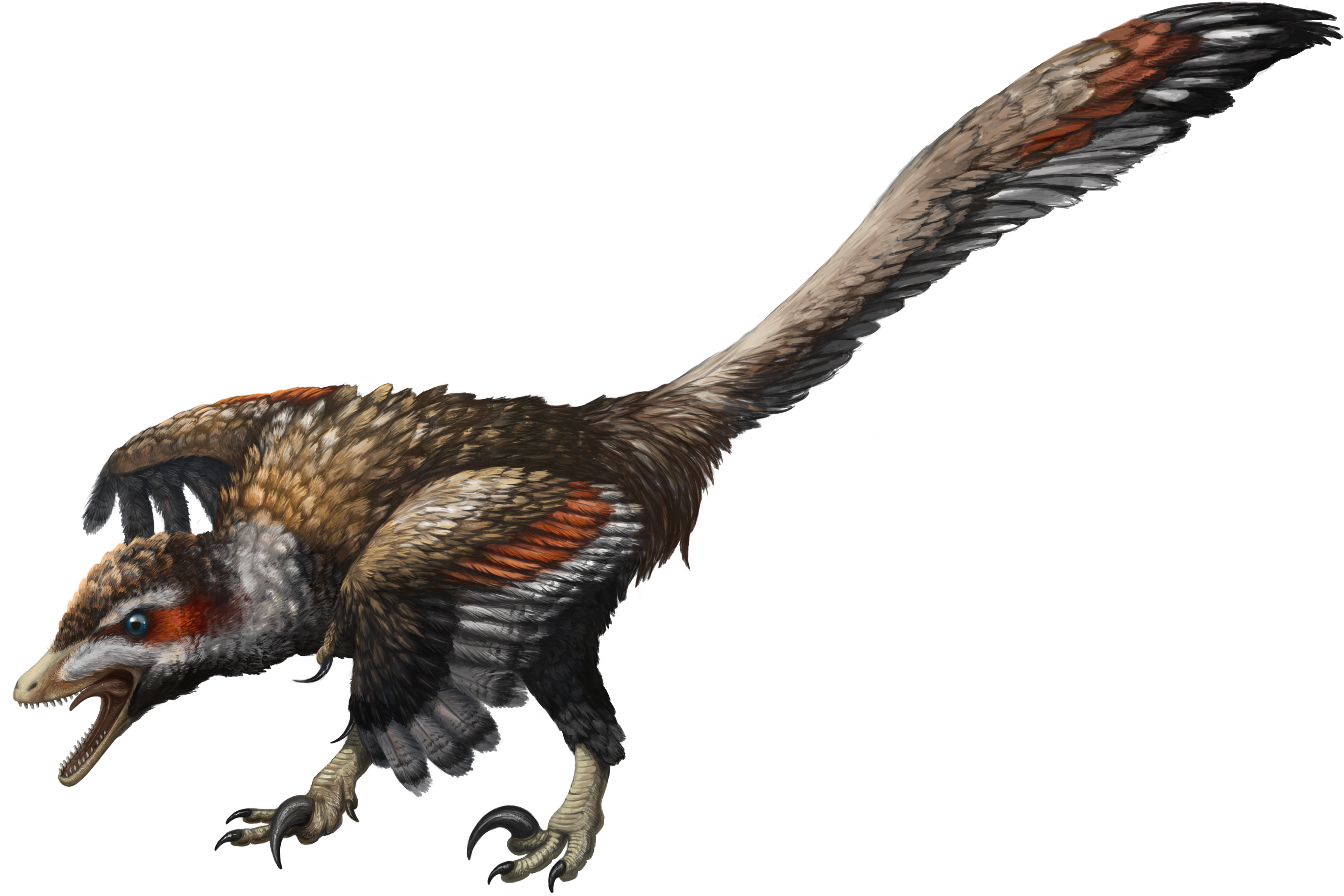 Velociraptor - Flaming Cliffs Dinosaur Game Clipart (3615x2430), Png Download