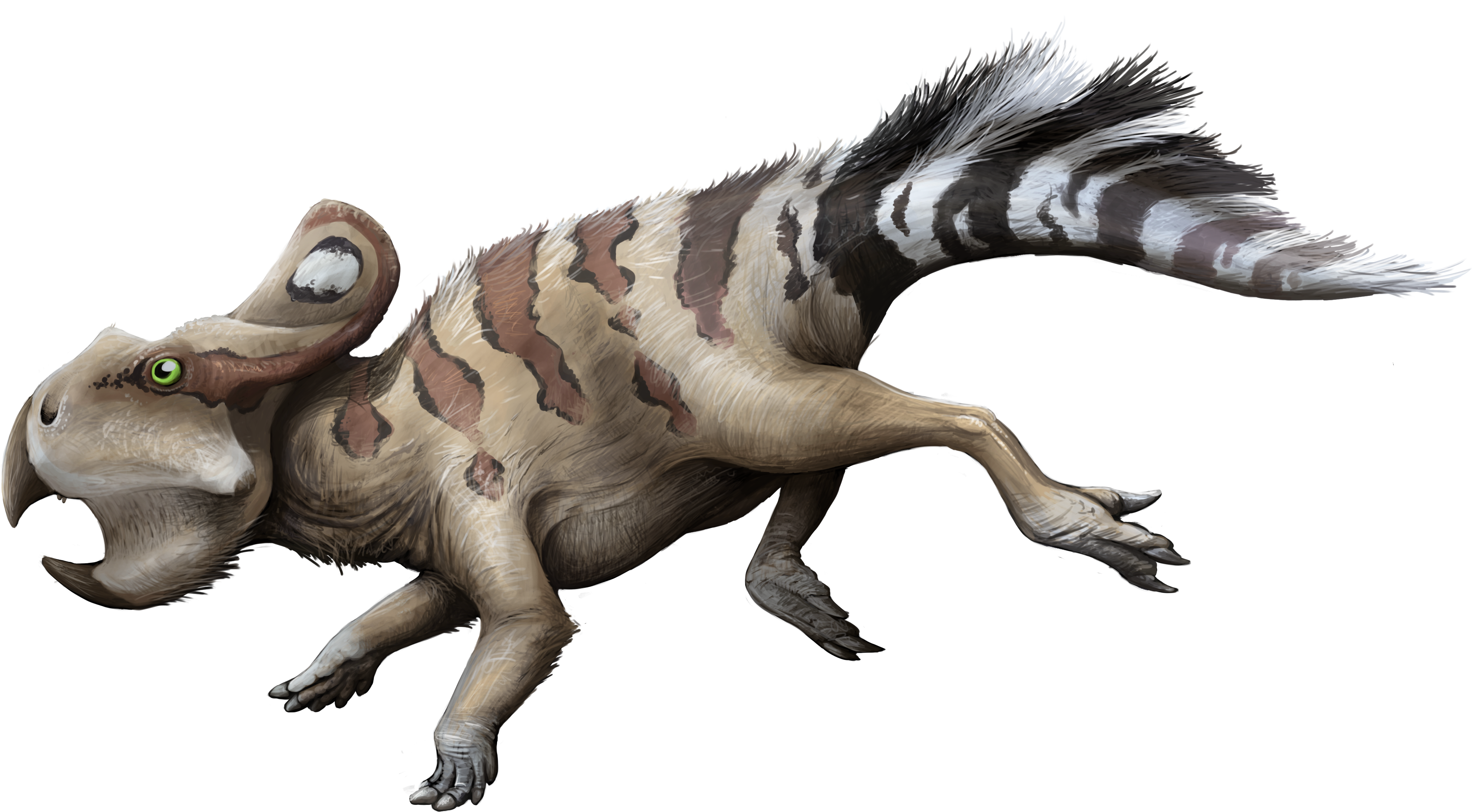 Protoceratops - Protoceratops Png Clipart (4445x2577), Png Download
