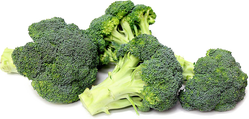 Broccoli Png Transparent - Broccoli Png Clipart (872x419), Png Download
