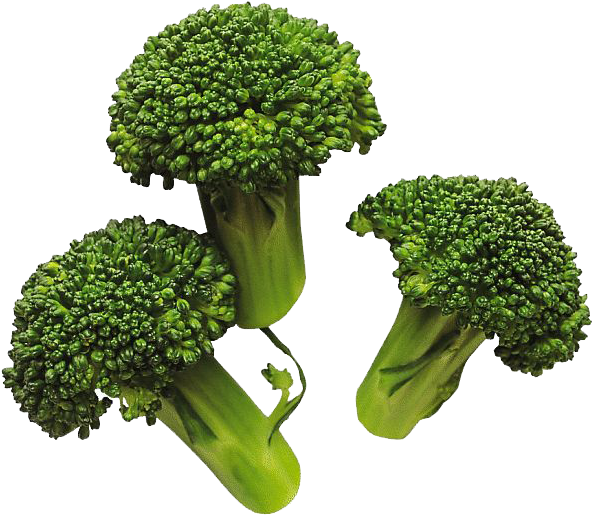 Broccoli Png Image - Broccoli Png Clipart (600x533), Png Download