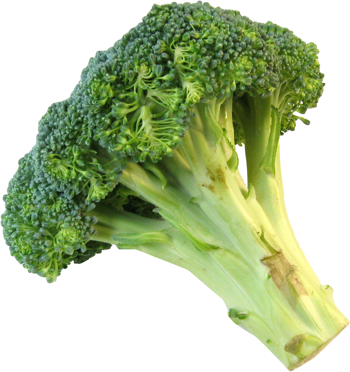 Free Png Download Fresh Broccoli Png Images Background - Transparent Broccoli Clipart (850x840), Png Download
