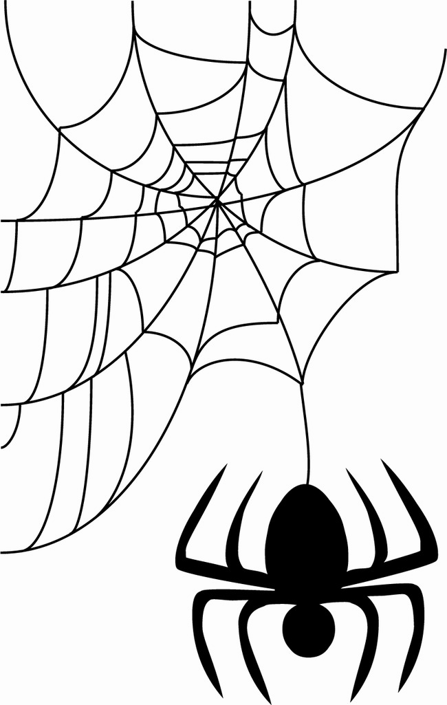 Halloween Spider Web Vector Free Png Image Background - Spider Web Vector Png Clipart (649x1024), Png Download