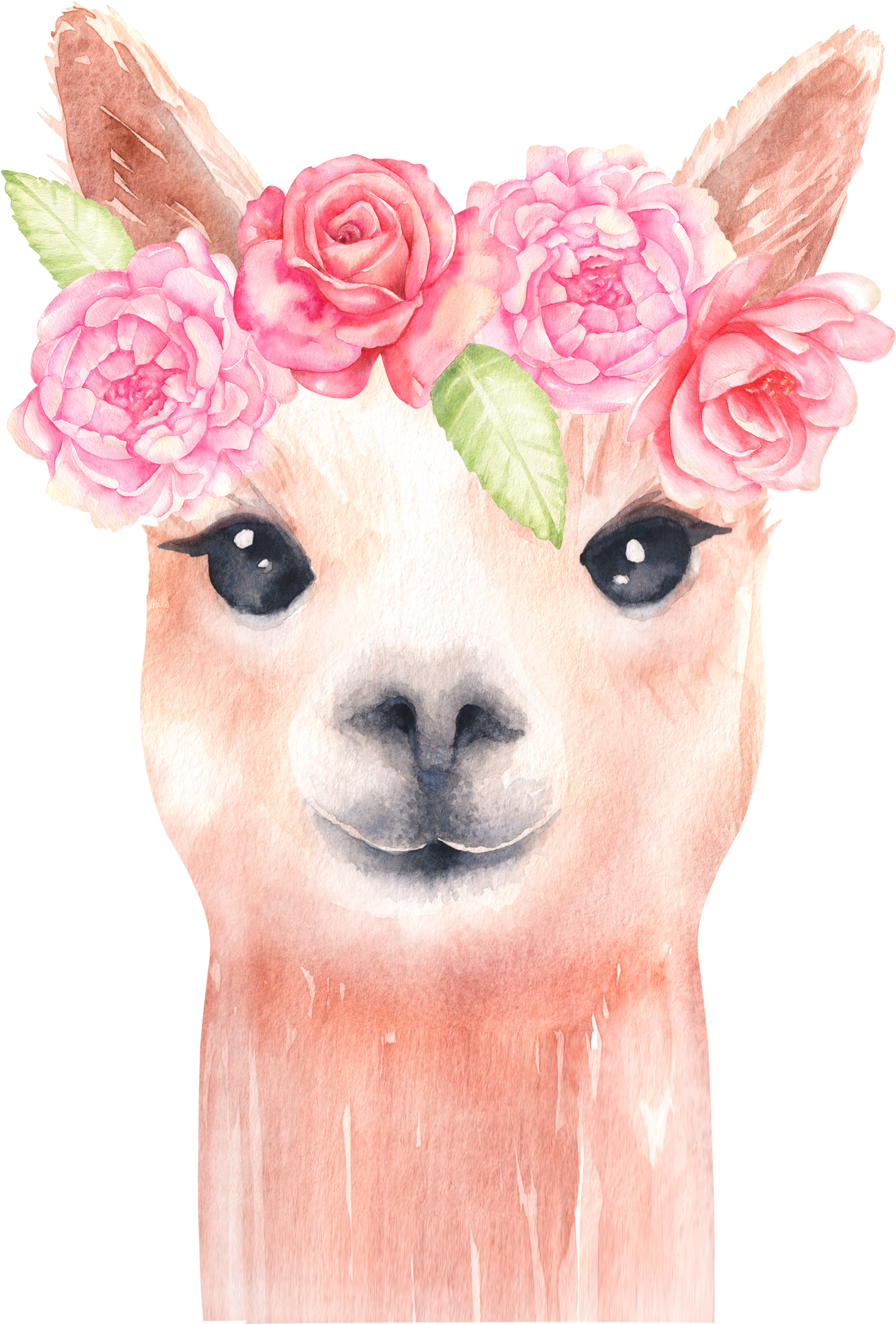 Alpaca And Flower Clipart/ Llama Clip Art/ Watercolor - Png Download (1982x2927), Png Download