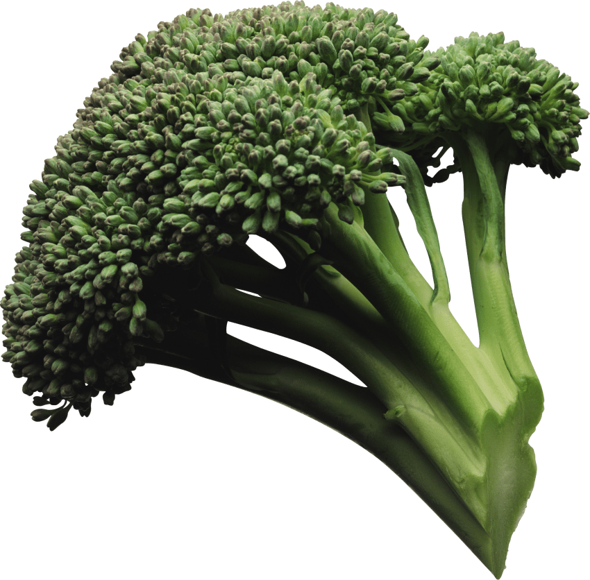 Download Broccoli Png Images Background - Go Foods 5 Examples Clipart (850x836), Png Download