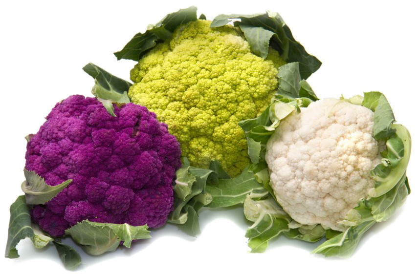 Cauliflower Png Hd Photo Clipart (857x561), Png Download
