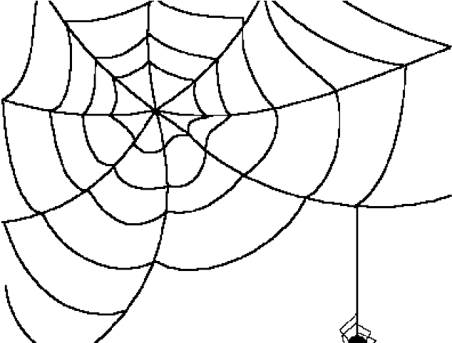 Drawn Spider Web Transparent Background - Transparent Spider Web Clipart - Png Download (640x480), Png Download