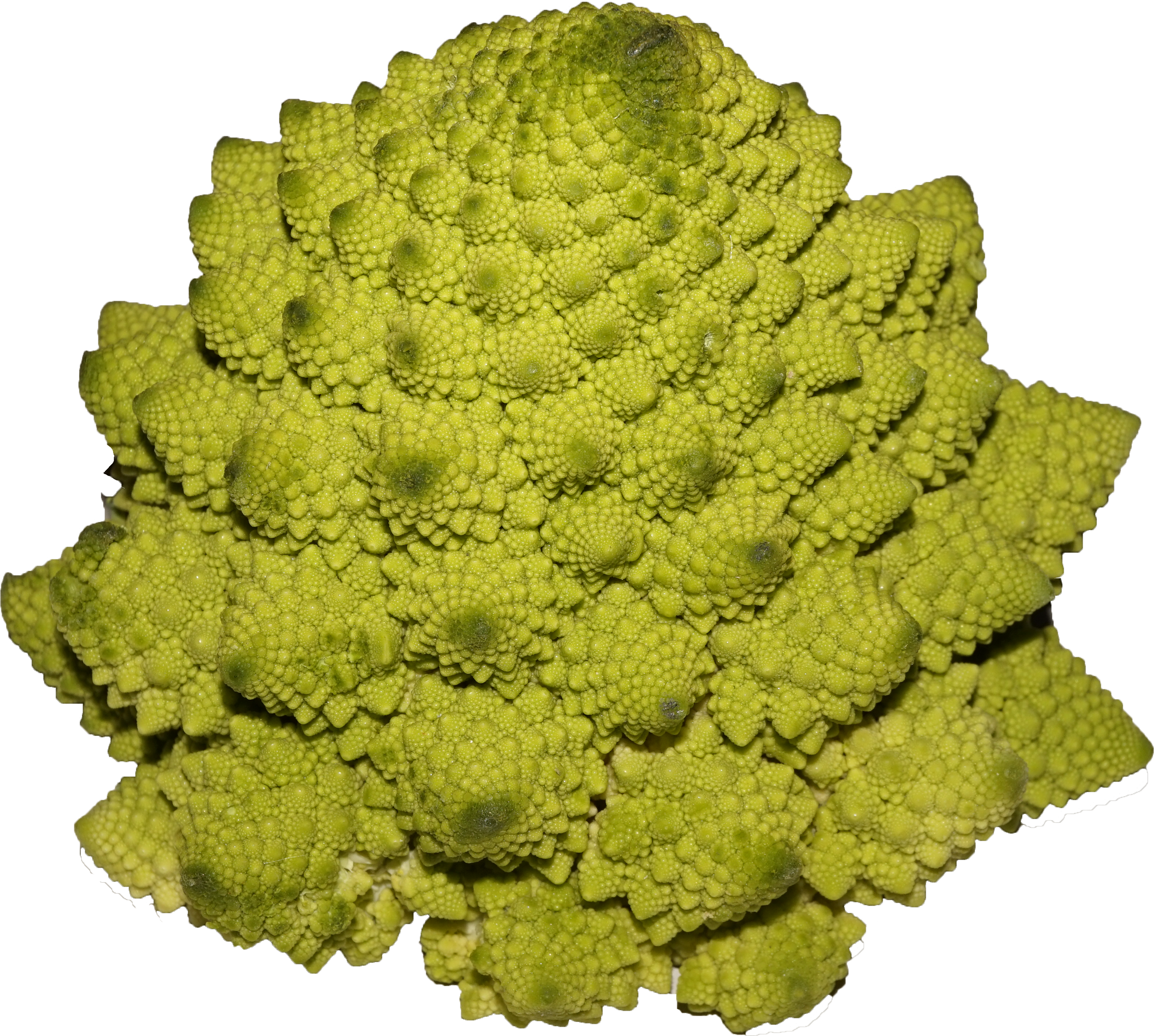 Romanesco Broccoli - Broccoli Clipart (3162x2840), Png Download