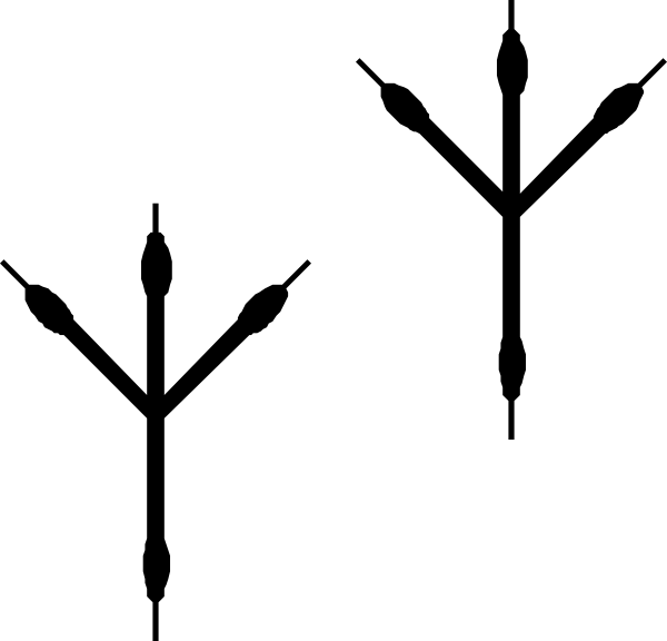 Bird Footprints Svg Clip Arts 600 X 576 Px - Png Download (600x576), Png Download