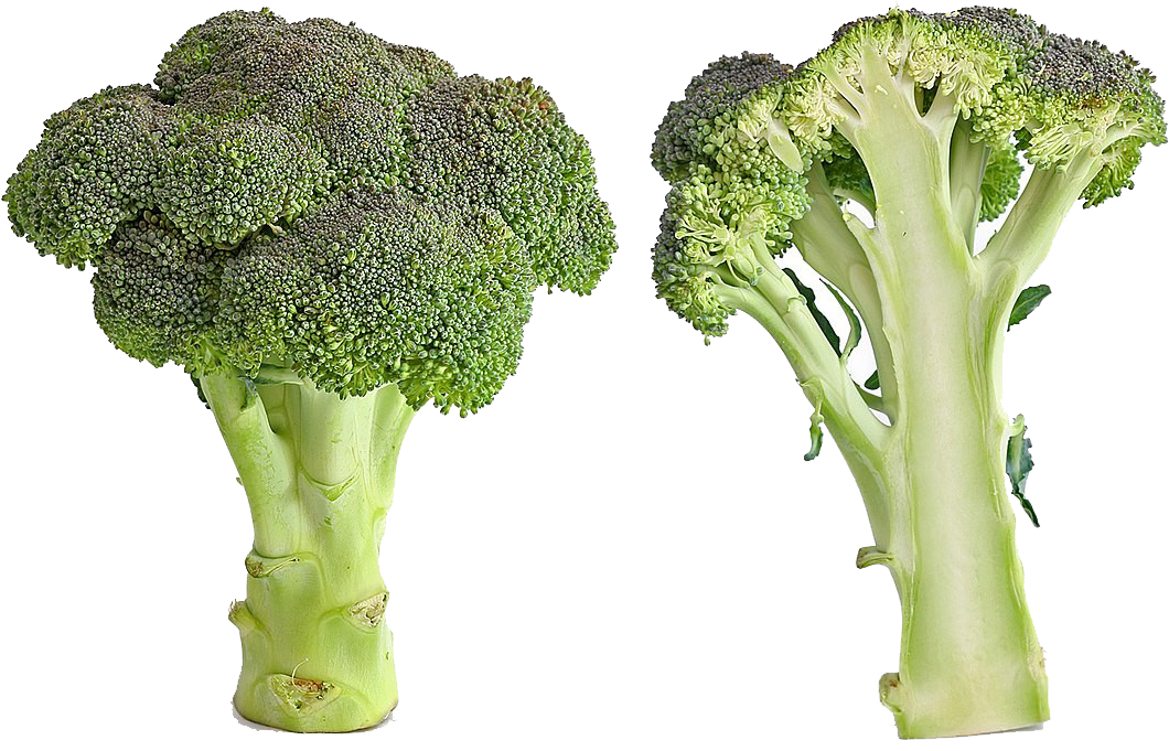 Green Broccoli Png Free Download - Bad Broccoli Clipart (1200x800), Png Download