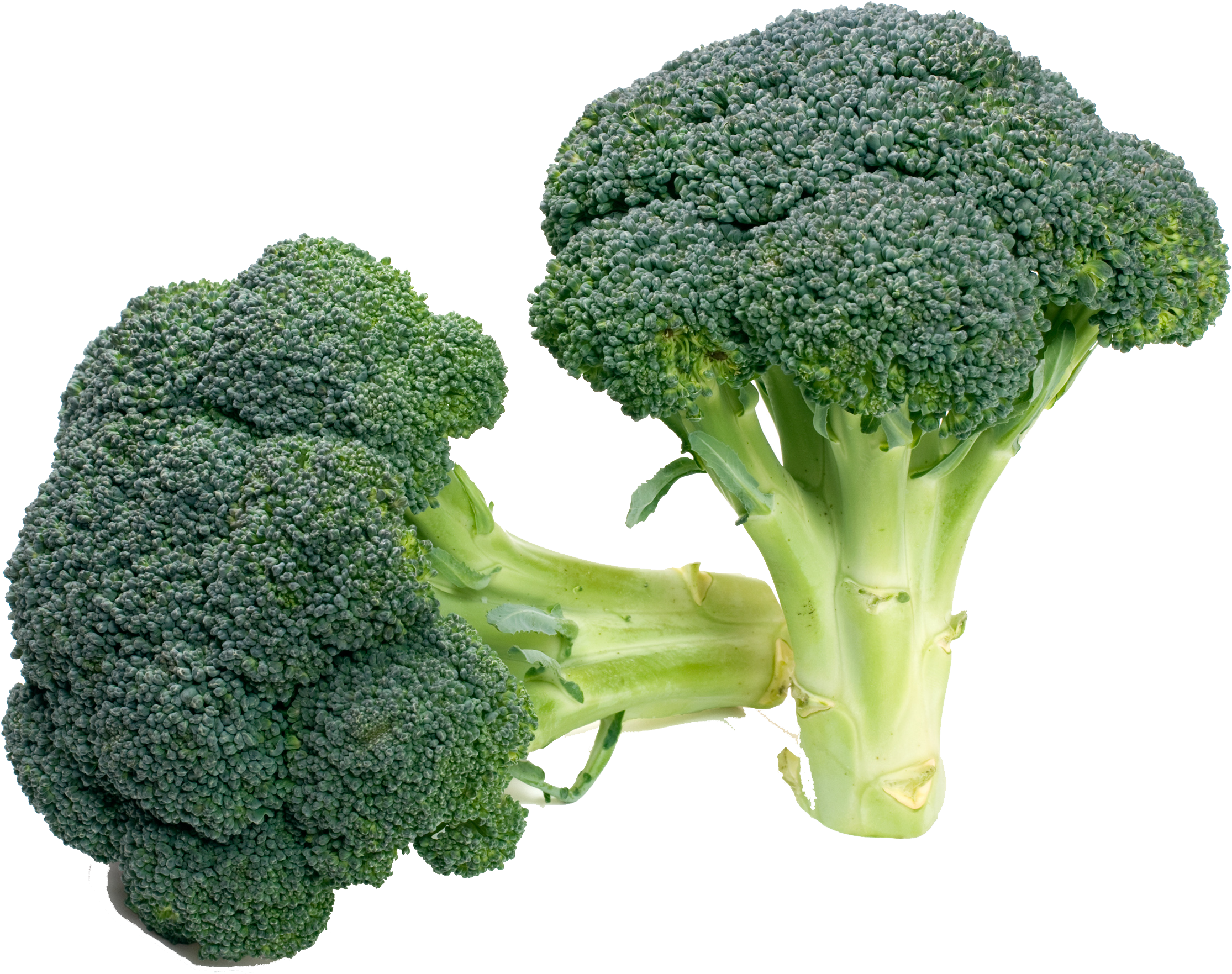 Clip Royalty Free Download Broccoli Vegetable Food - Sprouting Broccoli - Png Download (3000x1993), Png Download