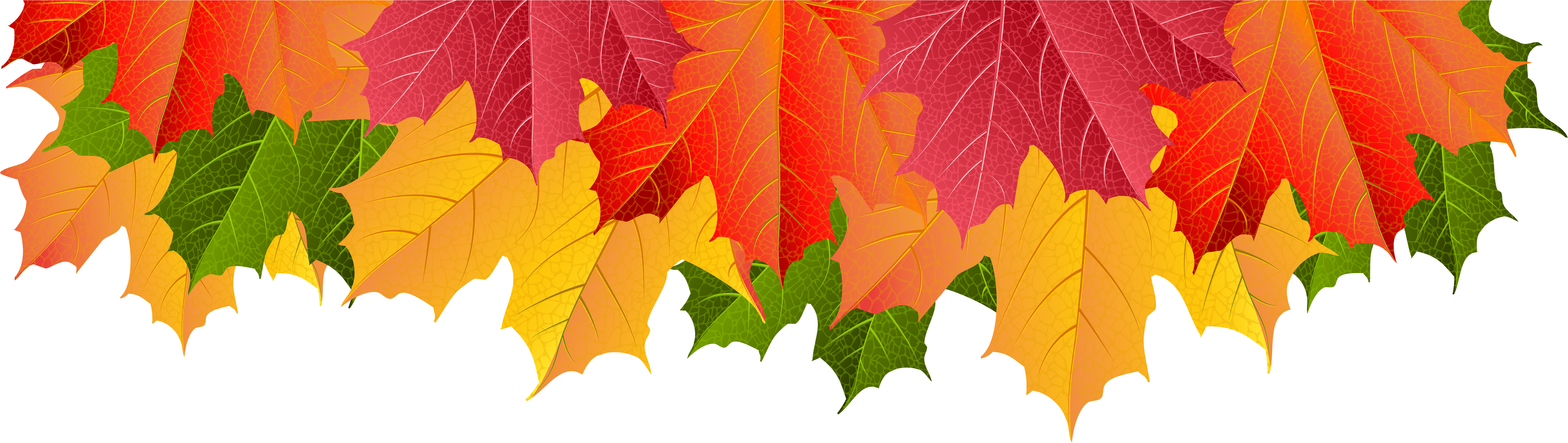 Fall Leaf Png Border Download Clipart (5975x1688), Png Download