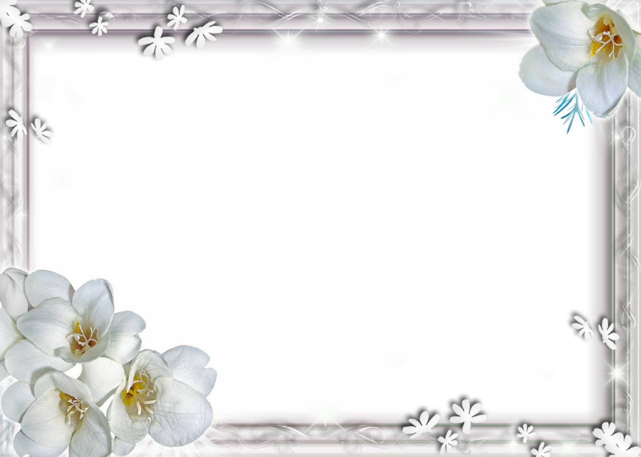 White Flower Frame Png Clipart (1280x914), Png Download