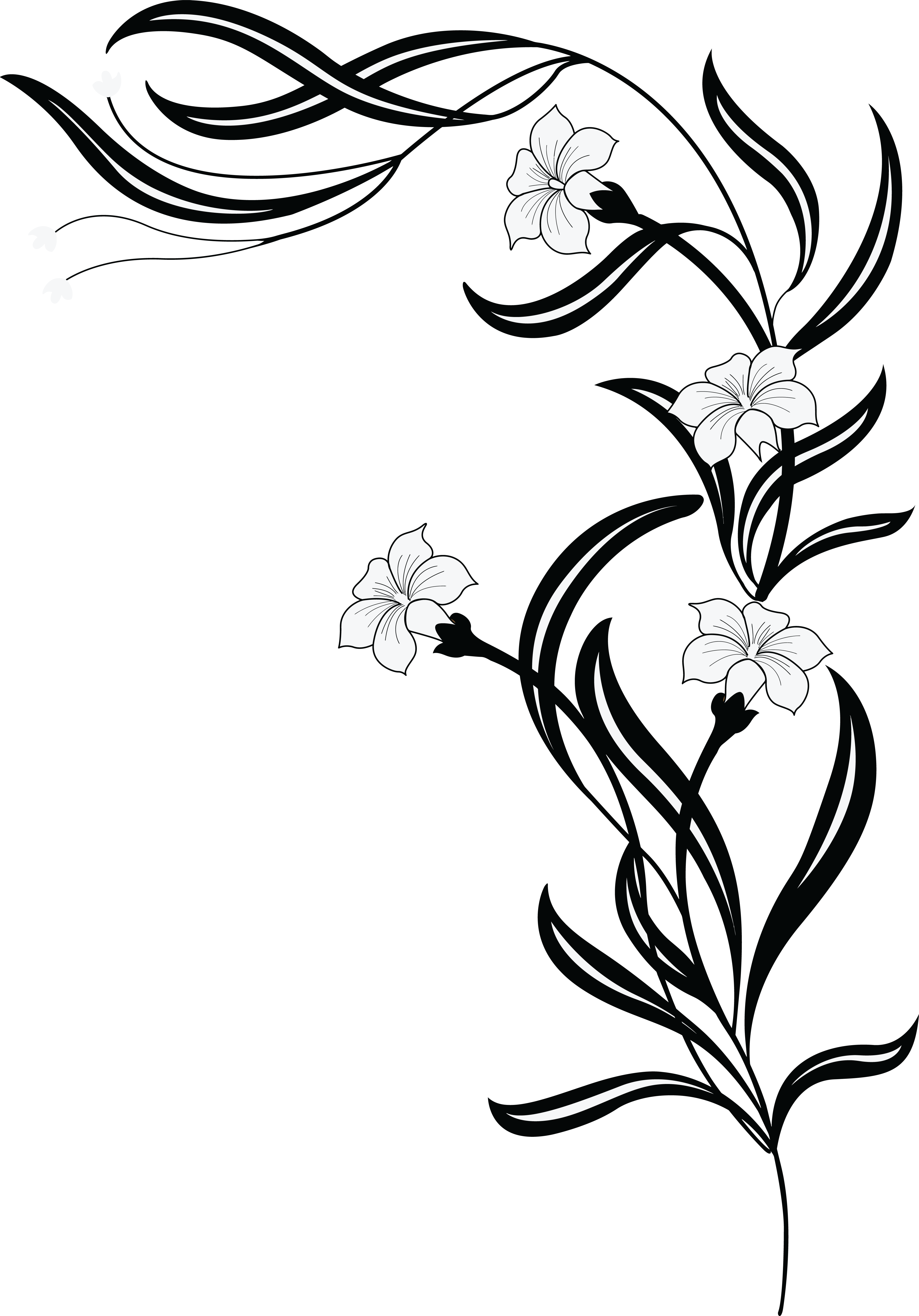 This Free Icons Png Design Of Black And White Flowers Clipart (1556x2229), Png Download