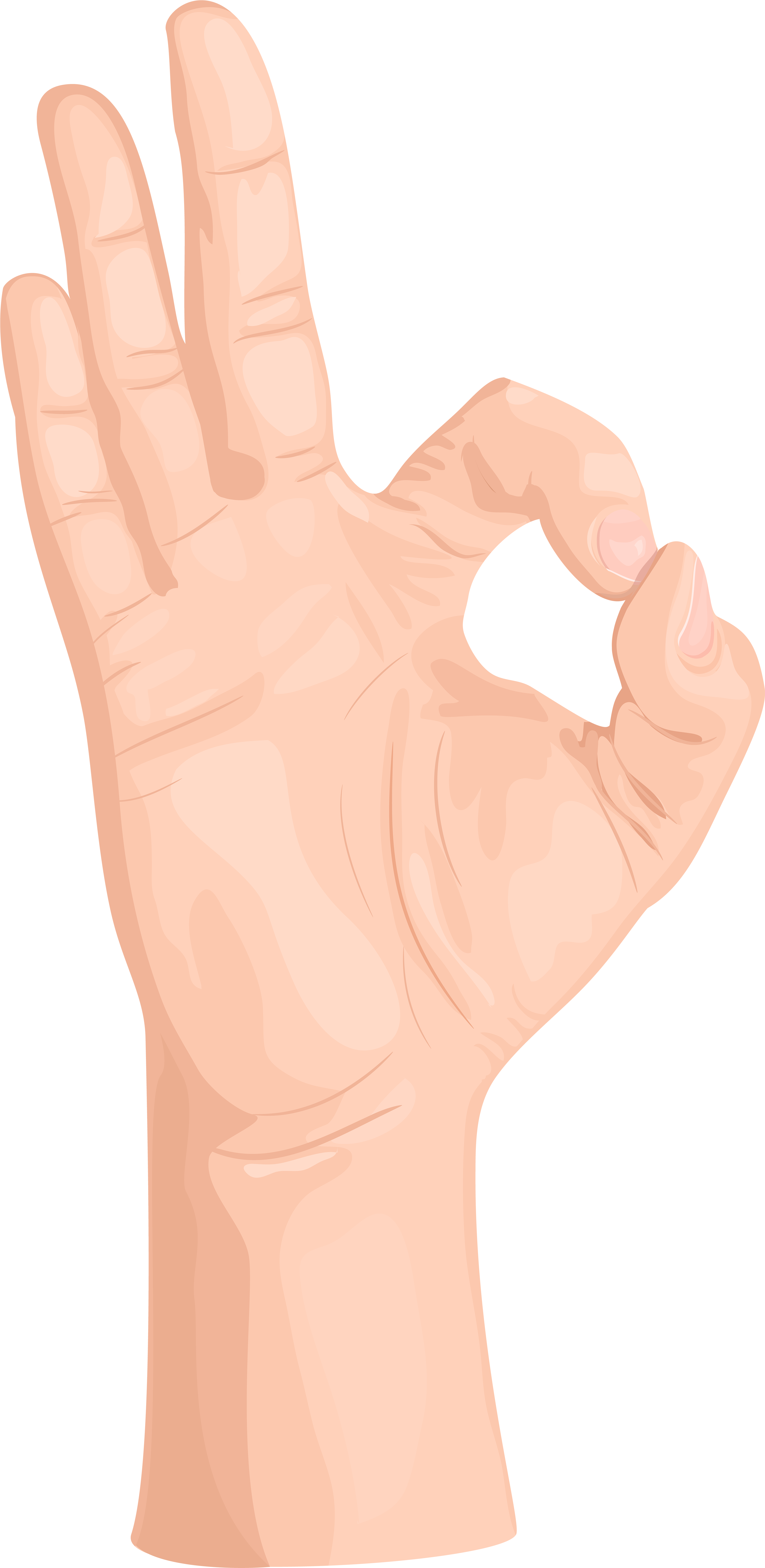 Free Png Download Ok Hand Gesture Clipart Png Photo - Transparent Ok Hand Png (480x967), Png Download