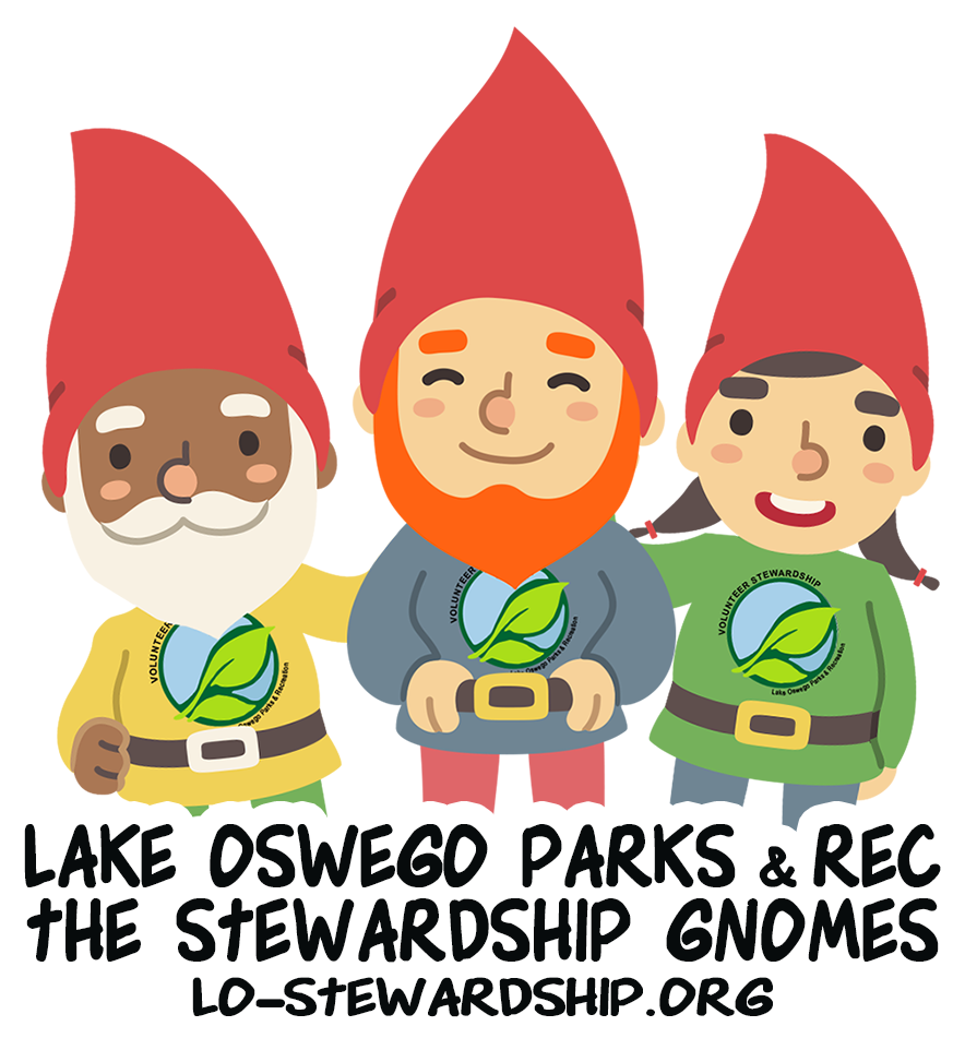 Find The Stewardship Gnomes In Nature - Cartoon Clipart (900x960), Png Download