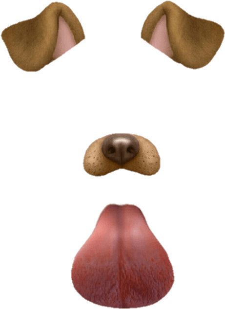 Snapchat Dog Filter Tongue Png Clipart (456x720), Png Download