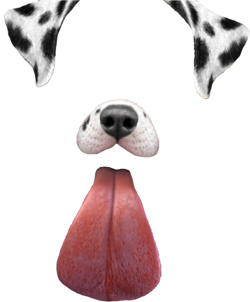 Snapchat Filters Png Clipart (856x1024), Png Download