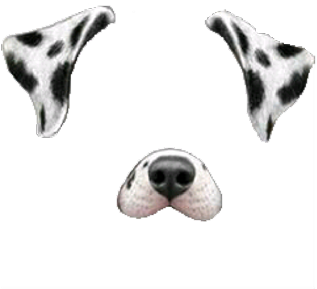 Deceasedboundmon Sticker - Transparent Snapchat Dog Filter Clipart (1024x1024), Png Download