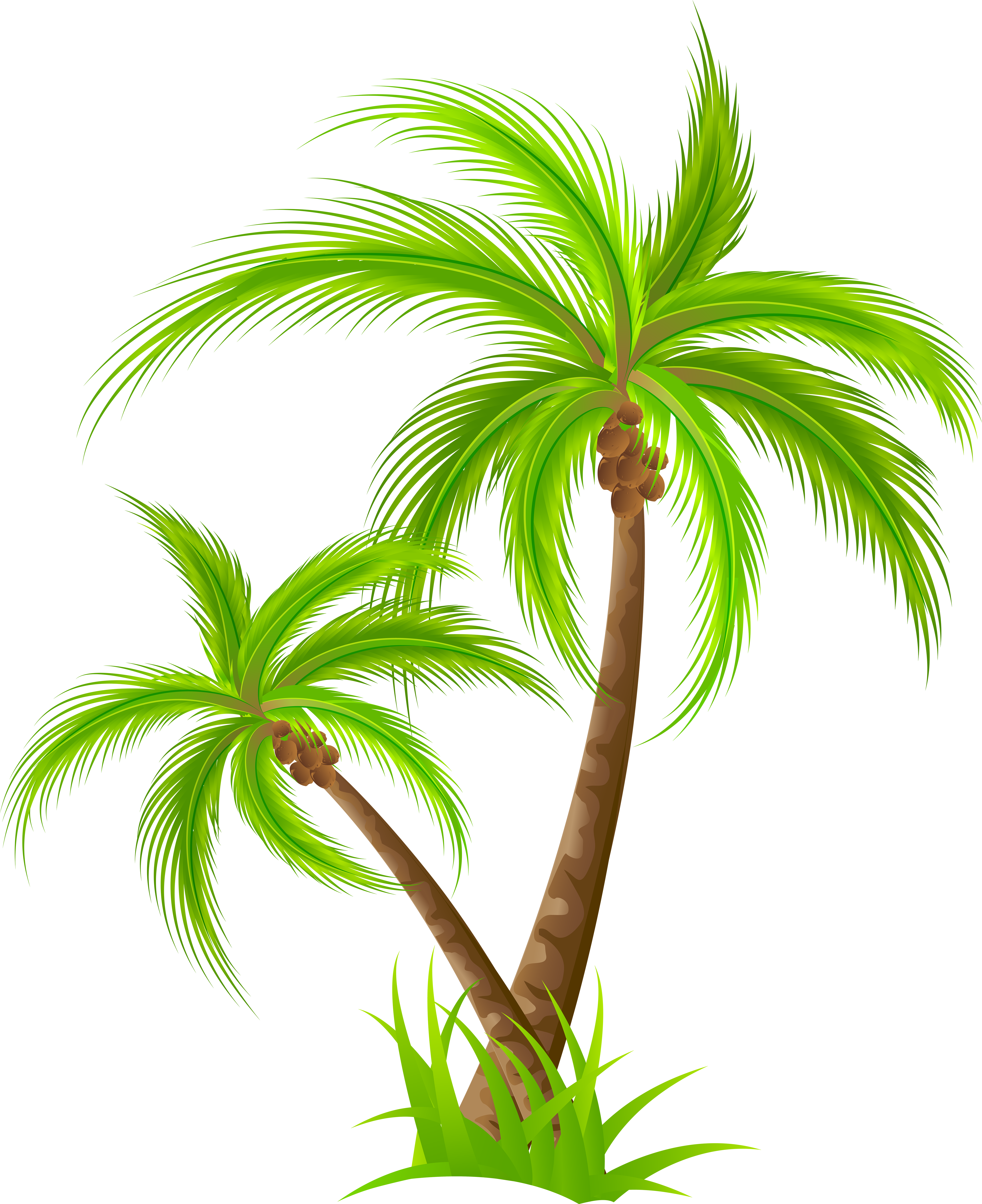 Palm Png Clip Art - Palm Tree Clipart Png Transparent Png (4894x6000), Png Download