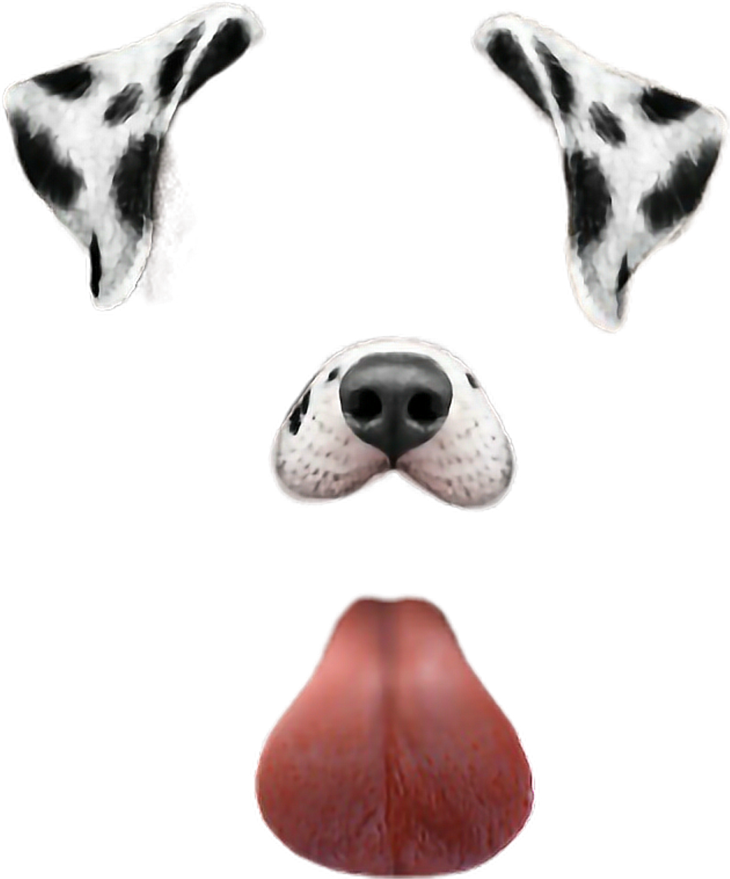 Dog Snapchat Puppy Filter Cool Love Beauty Beautiful - Transparent Snapchat Dog Filter Clipart (1024x1232), Png Download